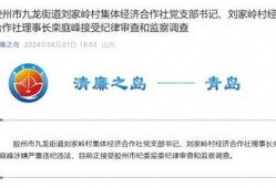 胶州最新爆料消息今天,揭秘今日热点事件背后的真相